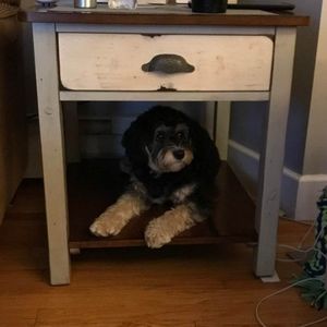 Meet your Posher, Chris